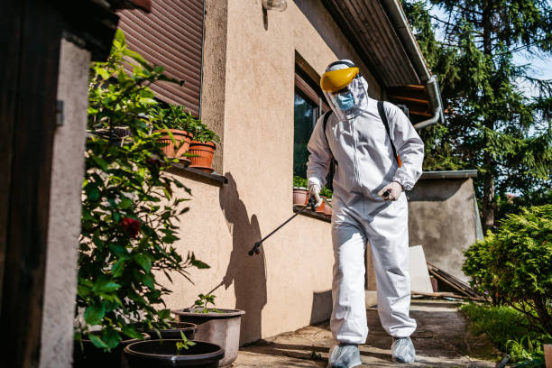 Best Insect Control  in Lton, IN