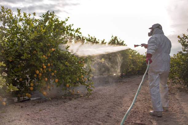 Best Ant Control Services  in Lton, IN