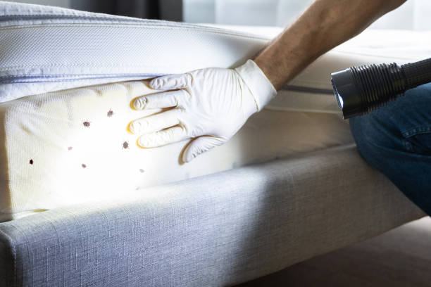 Best Commercial Pest Control Services  in Lton, IN